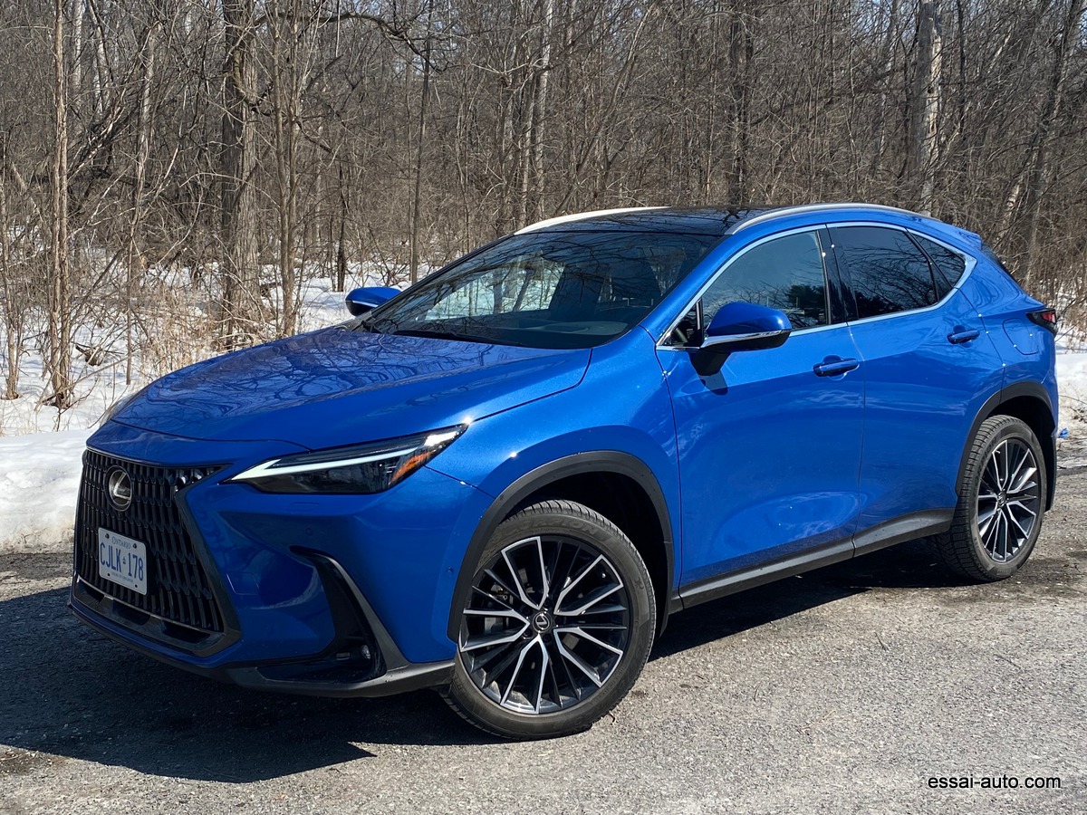 Lexus NX350h 2022
