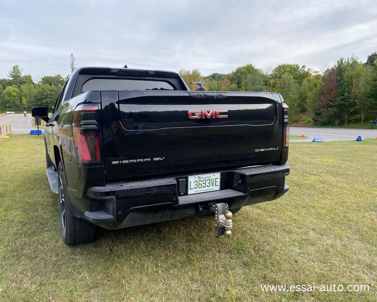GMC Sierra Denali 004